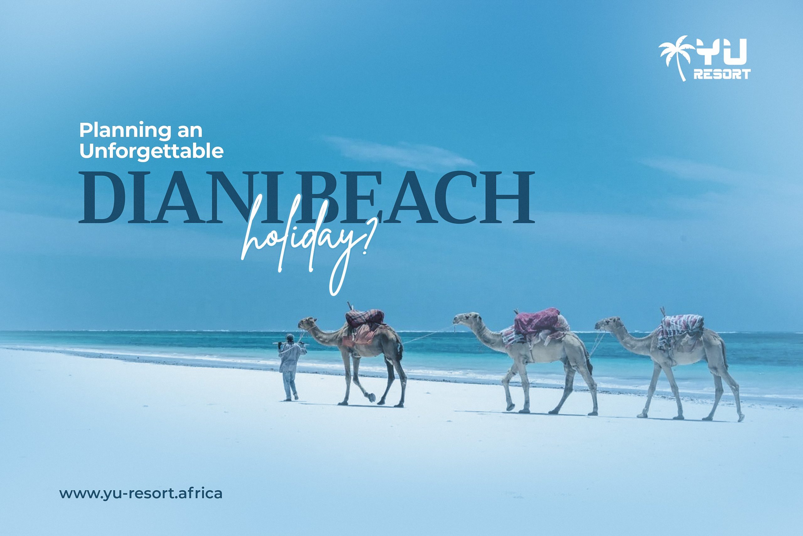 How to Plan an Unforgettable Diani Beach Holiday?